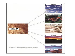 1ª série e.m benec11