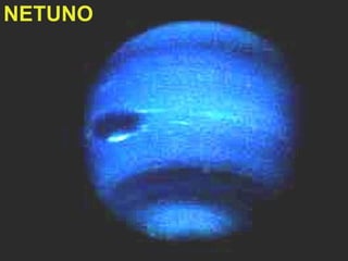NETUNO
 