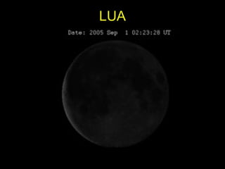 LUA
 