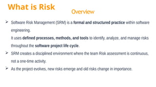 Srm Risk Comprehensive Software Risk Management: Principles, Practices, and ...