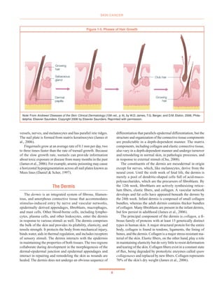 Skin | PDF