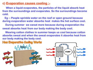 c) Evaporation causes cooling :-
When a liquid evaporates, the particles of the liquid absorb heat
from the surroundings and evaporates. So the surroundings become
cold.
Eg :- People sprinkle water on the roof or open ground because
during evaporation water absorbs heat makes the hot surface cool.
During summer we sweat more because during evaporation the
sweat absorbs heat from our body making the body cool.
Wearing cotton clothes in summer keeps us cool because cotton
absorbs sweat and when the sweat evaporates it absorbs heat from
our body making the body cool.
 