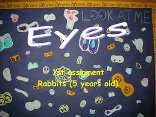 1st assigment Rabbits (5 years old) Eyes 