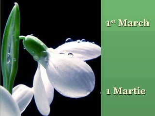 1 st  March 1 Martie 