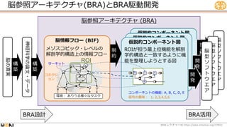 脳参照アーキテクチャ (BRA)
仮説的コンポーネント図
(HCD)
仮説的コンポーネント図
(HCD)
脳参照アーキテクチャ(BRA)とBRA駆動開発
WBA #1 https://wba-initiative.org/17902/
レクチャー
脳情報フロー (BIF) 仮説的コンポーネント図
2
B E
C
D
1
5
6
7
4
3
メゾスコピック・レベルの
解剖学的構造上の情報フロー
ROIが担う最上位機能を解剖
学的構造と一致するように機
能を整理しようとする図
環境： ありうる様々なタスク
コンポーネントの機能: A, B, C, D, E
信号の意味： 1, 2,3,4,5,6
脳
型
ソ
フ
ト
ウ
エ
ア
制
約
開
発
脳
型
ソ
フ
ト
ウ
エ
ア
開
発
開
発
脳
型
ソ
フ
ト
ウ
エ
ア
サーキット
コネクシ
ョン
神経科学の論文・データ
構
築
脳の真実
構
築
BRA活用
BRA設計
ROI
 