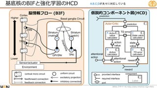 仮説的コンポーネント図(HCD)
脳情報フロー (BIF)
:Actor-Critic
Environment
feedback connection
feedforward connection
cortical micro circuit
Lower
Higher
Cortex
Striatum
(matrix)
Striatum
(patch)
SNc
GPi/SNr
Sensor/actuator
TRN
TRN action
value
state
value
TD error
attentional
action
reward
:TD error
calculator
7
:State value
calculator
:Action
calculator
:Action
value
calculator
6
prediction
5
reward
7
7
attentional
action
7
7
prediction
Basal ganglia Circuit
provided interface
required interface
port
6
:Label
component
uniform circuit
excitatory projection
inhibitory connection
A
B
C
D
A
B
C
D
基底核のBIFと強化学習のHCD
WBA #1 https://wba-initiative.org/17902/
レクチャー
A,B,C,Dが夫々に対応している
 