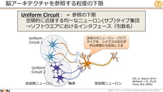 脳アーキテクチャを参照する粒度の下限
Uniform Circuit： ＝ 参照の下限
空間的に近接する均一なニューロン(サブ)タイプ集団
→ソフトウエアにおけるインタフェース（引数名）
WBA #1 https://wba-initiative.org/17902/
レクチャー
Uniform
Circuit 1
送信元のニューロン・(サブ)
タイプを、シナプスの生化学
的な特徴から区別しうる
送信側ニューロン 受信側ニューロン
Uniform
Circuit 2
軸索
(Oh, S., Nature, 2014)
(Bohland, J. W., PLoS,
Comp. Biol. 2009))
 