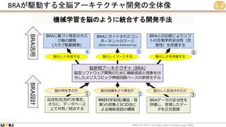 機械学習を脳のように統合する開発手法
BRAが駆動する全脳アーキテクチャ開発の全体像
WBA #1 https://wba-initiative.org/17902/
レクチャー
BRAとの比較によりソフ
トの生物学的妥当性（忠
実性）を評価する
BRAに基づく特定のタス
ク毎の開発
(スタブ駆動開発)
BRAにガイドされたコン
ポーネントのマージ
(Brain-inspired Refactoring)
脳参照アーキテクチャ (BRA)
脳型ソフトウェア開発のために機能仮説と現象を付
与したメゾスコピック神経回路ベースの参照モデル
脳らしく作成する 脳らしくマージする 脳らしさを評価する
BRAデータの妥当性を
評価し、受領したデー
タを正式登録
神経科学知見(構造・現
象)の収集とSCID法に
よる機能仮説の構築
記述形式(BIF)を策定。
さらに、データベース
上で共有／統合する
脳の何を学ぶか 脳の知識をどう得るか 脳らしく記述されたか
BRA活用
BRA設計
④ ⑥
⑤
③
②
①
 