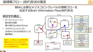Circuit
Connection
Property
only for
uniform
Circuits
脳情報フロー (BIF)形式の策定
WBA #1 https://wba-initiative.org/17902/
レクチャー
Terminal
[sensor]
Terminal
[actuator]
Circuit
Circuit
Circuit
Circuit
Circuit
Legend
Uniform
circuit
Connectio
n
Circuit
modType
size
reference
hasPart
implementation
reference
size
transmitter
taxon
labels
inputCircuit
outputCircuit
taxon
transmitter
解剖学的構造：
• サーキット(ノード)：
脳の部分回路
最小単位はuniformCircut
• コネクション(リンク)：
Uniform Circuitを起点とした
軸索集合
BRAに必要なメゾスコピックレベルの情報フローを
記述するBrain Information Flow(BIF)形式
現状で、Uniform circuit間の接続
情報の全ては入手できないので、
大きな粒度のCircuitへの投射を記
述できる必要がある。
 