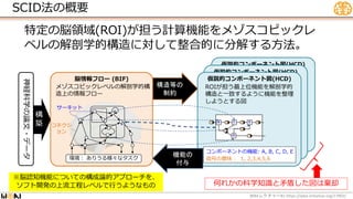 SCID法の概要
WBA #1 https://wba-initiative.org/17902/
レクチャー
特定の脳領域(ROI)が担う計算機能をメゾスコピックレ
ベルの解剖学的構造に対して整合的に分解する方法。
仮説的コンポーネント図(HCD)
仮説的コンポーネント図(HCD)
脳情報フロー (BIF) 仮説的コンポーネント図(HCD)
2
B E
C
D
1
5
6
7
4
3
メゾスコピックレベルの解剖学的構
造上の情報フロー
ROIが担う最上位機能を解剖学的
構造と一致するように機能を整理
しようとする図
環境： ありうる様々なタスク
コンポーネントの機能: A, B, C, D, E
信号の意味： 1, 2,3,4,5,6
サーキット
コネクシ
ョン
神経科学の論文・データ
構
築
コンポーネントの機能: A, B, C, D, E
信号の意味： 1, 2,3,4,5,6
構造等の
制約
機能の
付与
※脳認知機能についての構成論的アプローチを、
ソフト開発の上流工程レベルで行うようなもの 何れかの科学知識と矛盾した図は棄却
 