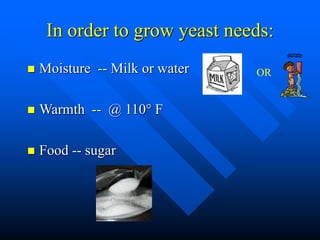 How does each affect the growth
of yeast?
 Sugar
– Provides food for the
yeast to grow.
 Salt
– Controls the growth of
t...
