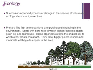+Ecology
 Succession-observed process of change in the species structure of an
ecological community over time.
 Primary-The first time organisms are growing and changing in the
environment. Starts with bare rock to which pioneer species attach,
grow, die and reproduce. These organisms create the original soil to
which other plants can attach. Over time, bigger plants, insects and
mammals will begin to appear in the area
 