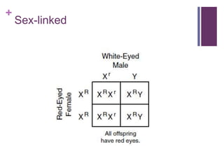 +
Sex-linked
 
