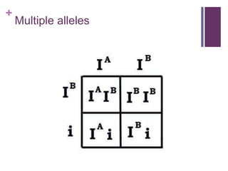 +
Multiple alleles
 