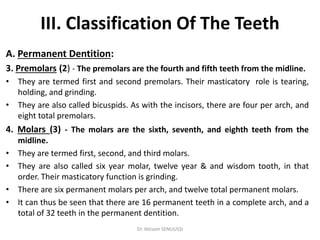 Introduction of dental anatomy | PDF
