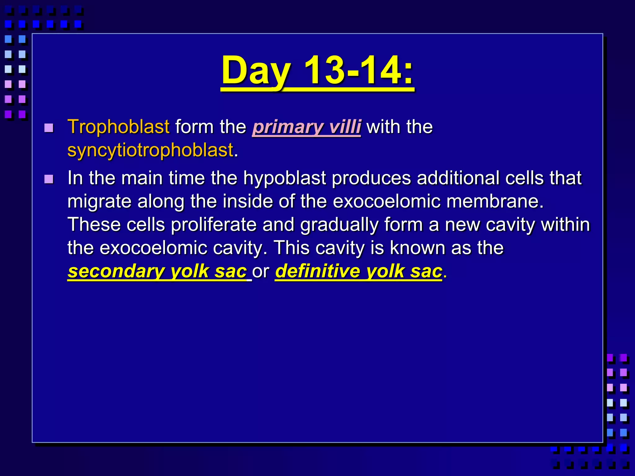 Day 13-14:
 Trophoblast form the primary villi with the
syncytiotrophoblast.
 In the main time the hypoblast produces additional cells that
migrate along the inside of the exocoelomic membrane.
These cells proliferate and gradually form a new cavity within
the exocoelomic cavity. This cavity is known as the
secondary yolk sac or definitive yolk sac.
 