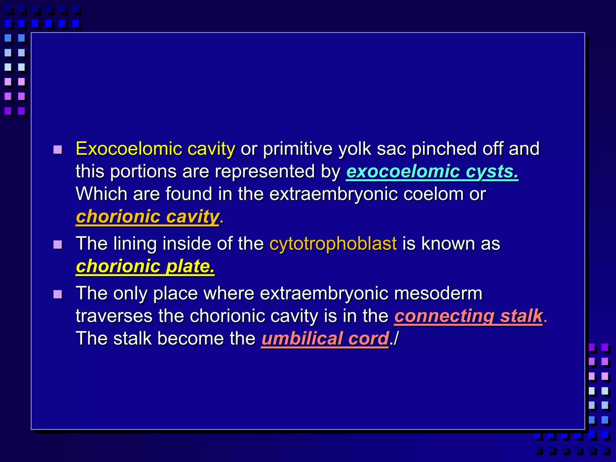  Exocoelomic cavity or primitive yolk sac pinched off and
this portions are represented by exocoelomic cysts.
Which are found in the extraembryonic coelom or
chorionic cavity.
 The lining inside of the cytotrophoblast is known as
chorionic plate.
 The only place where extraembryonic mesoderm
traverses the chorionic cavity is in the connecting stalk.
The stalk become the umbilical cord./
 
