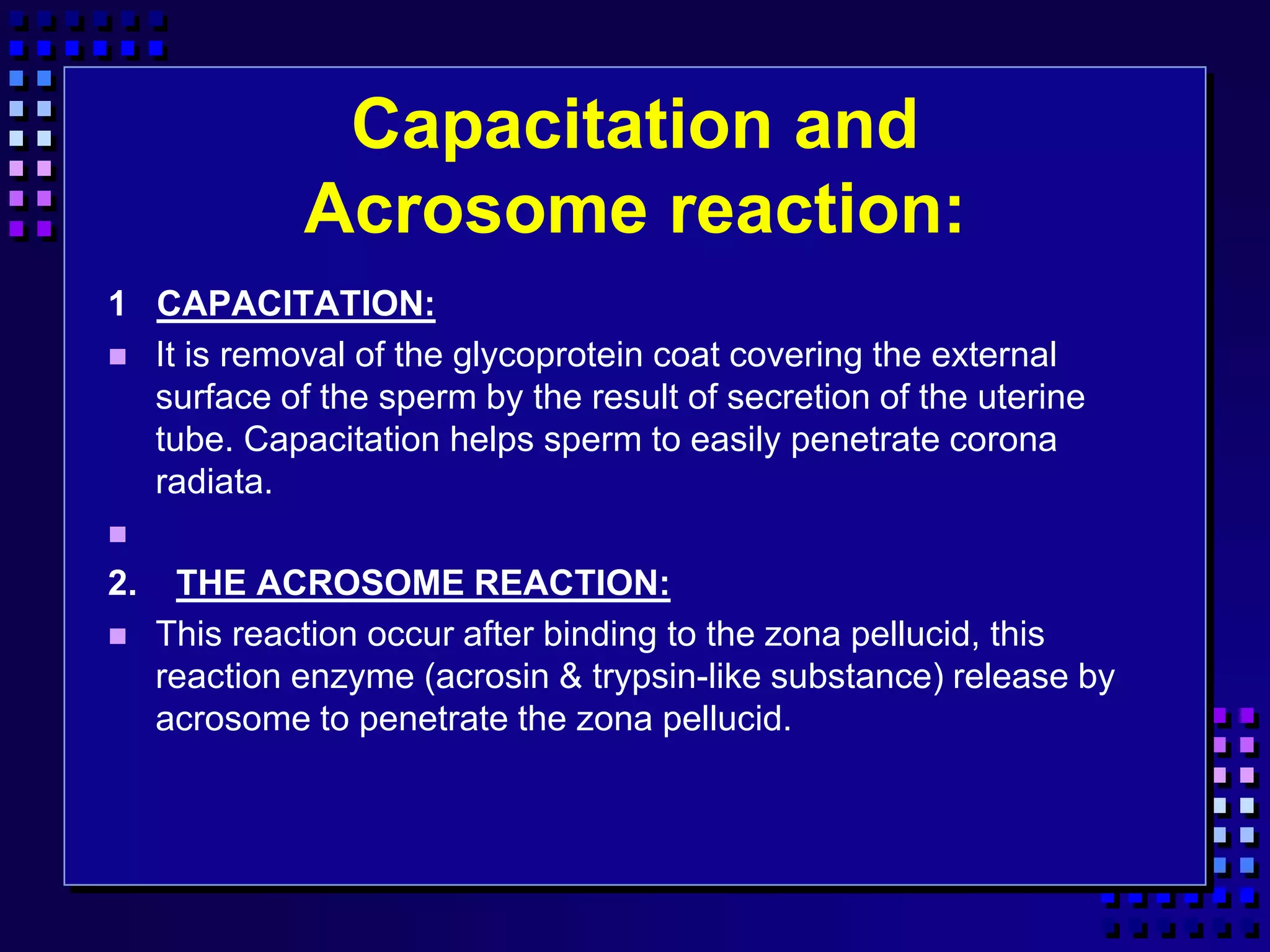 Capacitation and
Acrosome reaction:
1 CAPACITATION:
 It is removal of the glycoprotein coat covering the external
surface of the sperm by the result of secretion of the uterine
tube. Capacitation helps sperm to easily penetrate corona
radiata.

2. THE ACROSOME REACTION:
 This reaction occur after binding to the zona pellucid, this
reaction enzyme (acrosin & trypsin-like substance) release by
acrosome to penetrate the zona pellucid.
 