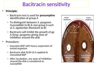 Comprehensive Overview of Pathogenic Gram-Positive Cocci ...