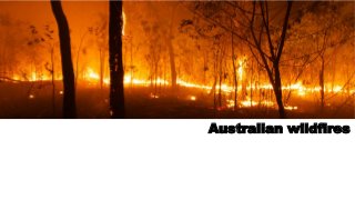Australian wildfires
 