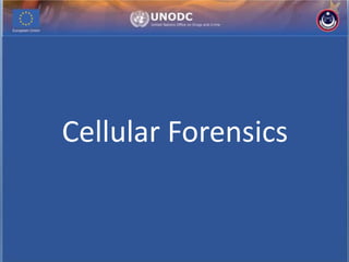 Cellular Forensics
 