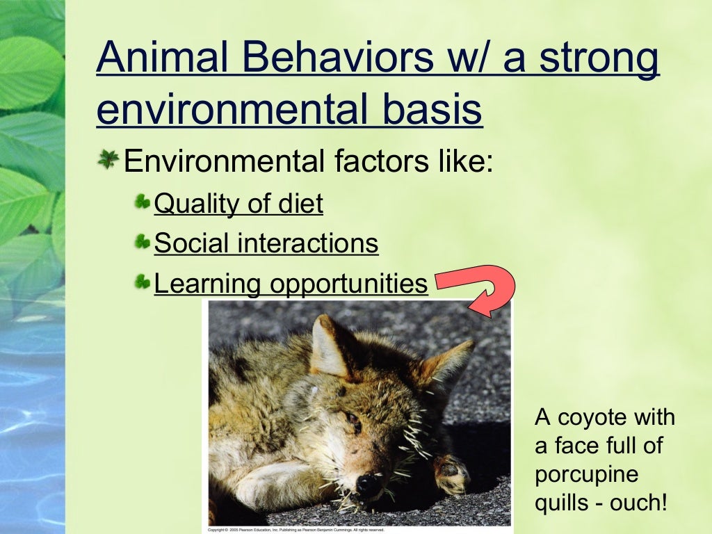 AP Biology behavioral ecology