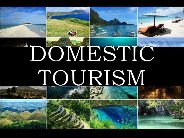 what is domestic tourism in definition