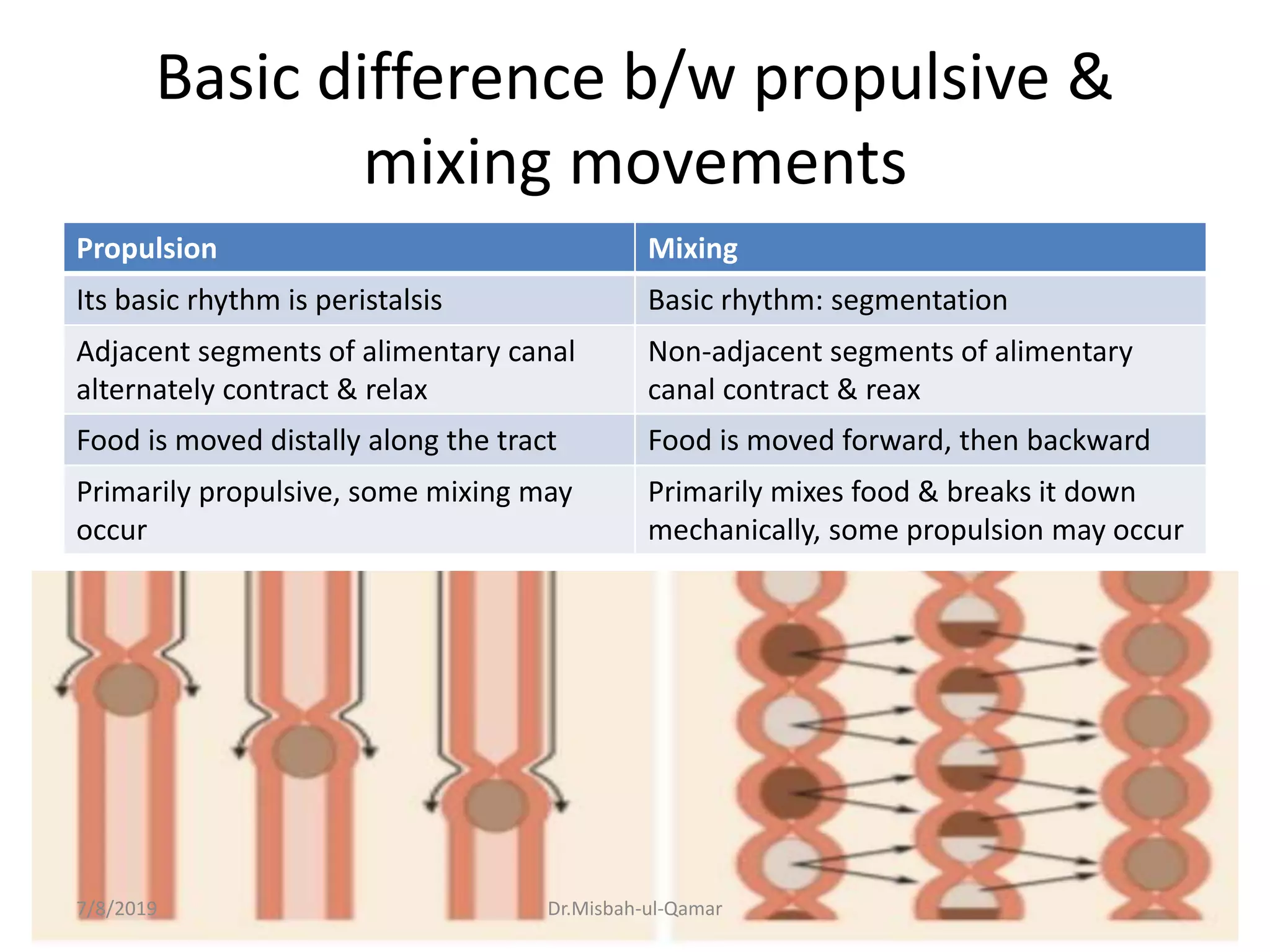 Basic difference b/w propulsive &
mixing movements
Propulsion Mixing
Its basic rhythm is peristalsis Basic rhythm: segmentation
Adjacent segments of alimentary canal
alternately contract & relax
Non-adjacent segments of alimentary
canal contract & reax
Food is moved distally along the tract Food is moved forward, then backward
Primarily propulsive, some mixing may
occur
Primarily mixes food & breaks it down
mechanically, some propulsion may occur
7/8/2019 Dr.Misbah-ul-Qamar
 