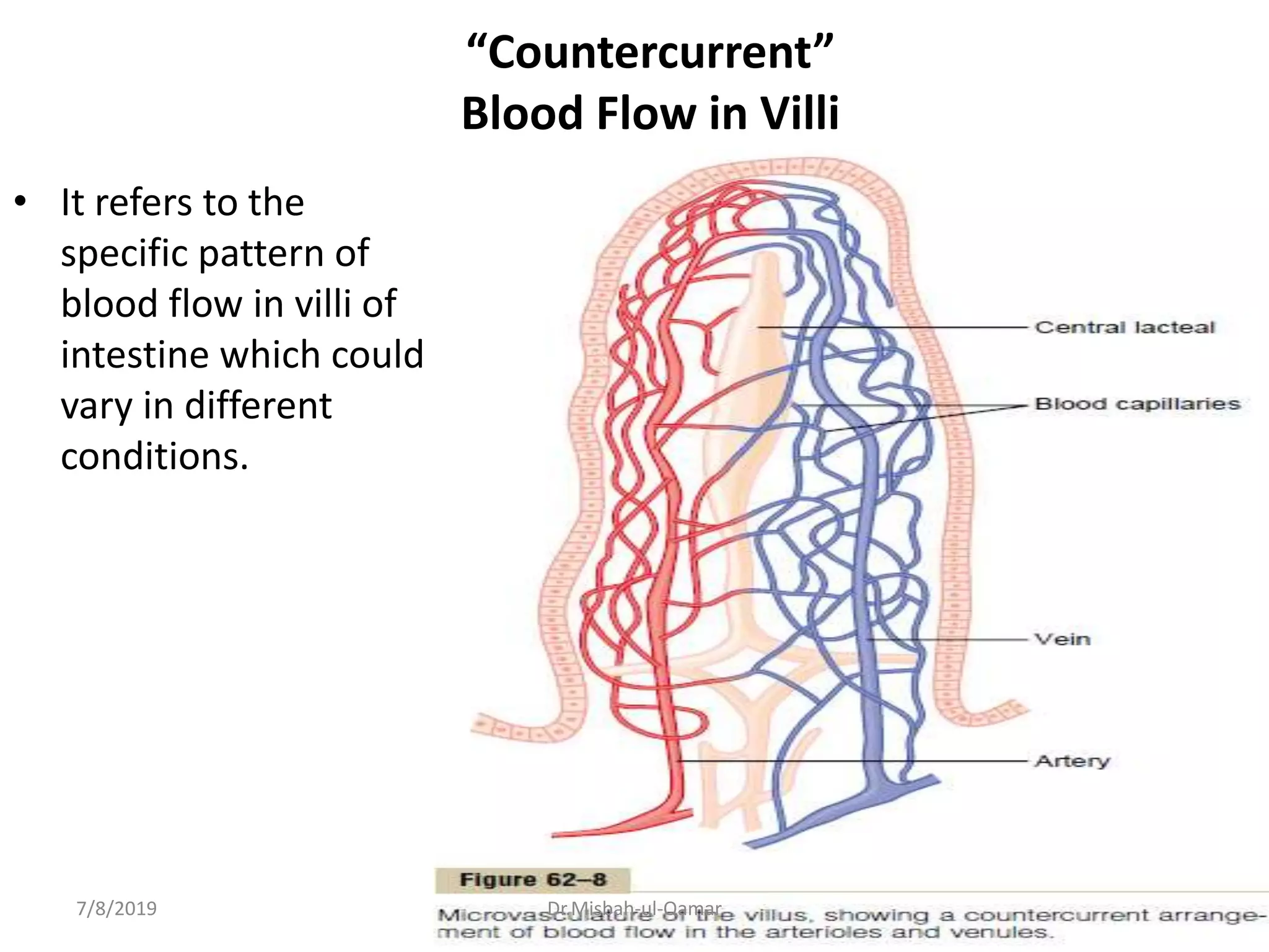 “Countercurrent”
Blood Flow in Villi
• It refers to the
specific pattern of
blood flow in villi of
intestine which could
vary in different
conditions.
7/8/2019 Dr.Misbah-ul-Qamar
 