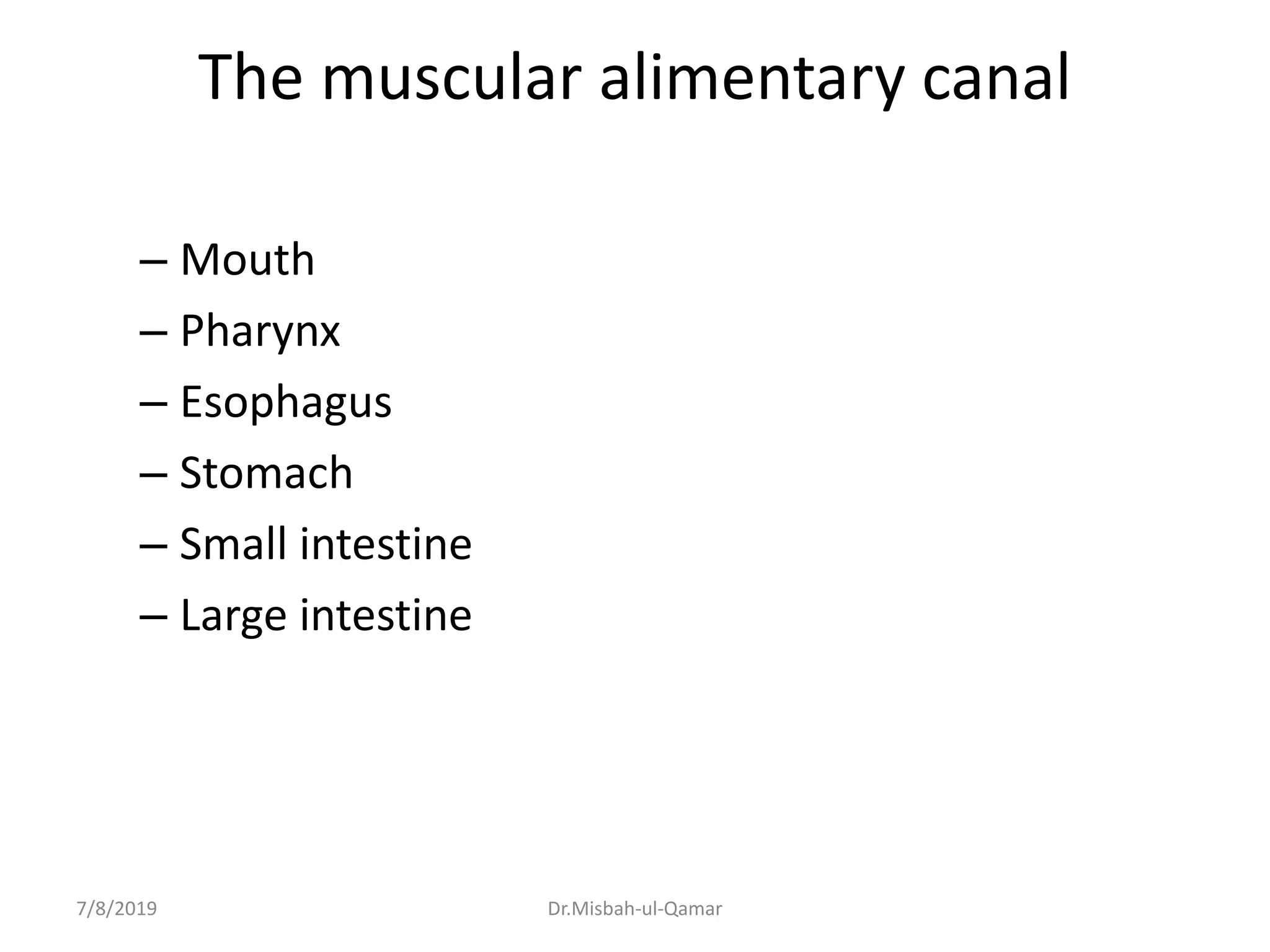 The muscular alimentary canal
– Mouth
– Pharynx
– Esophagus
– Stomach
– Small intestine
– Large intestine
7/8/2019 Dr.Misbah-ul-Qamar
 
