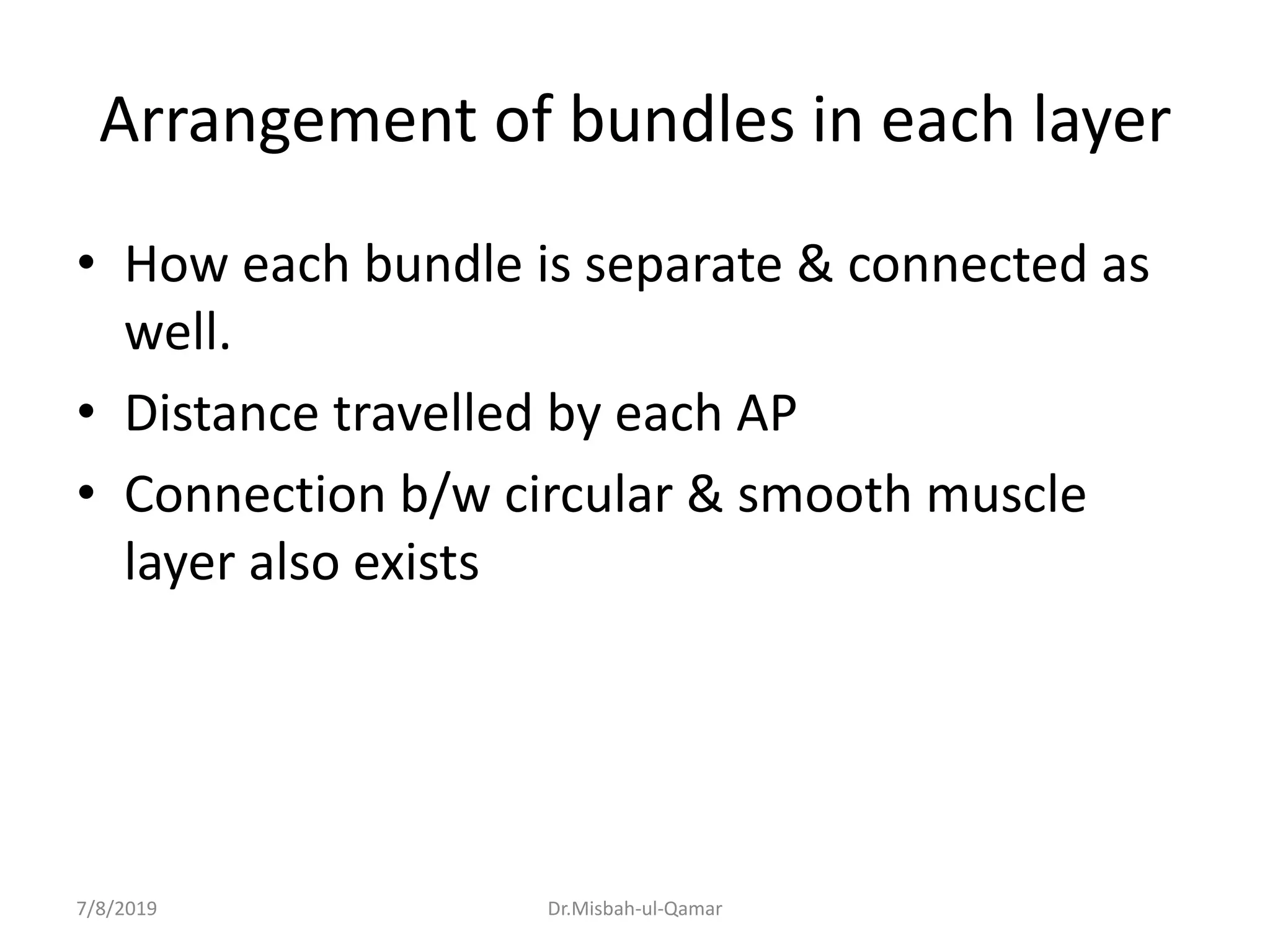 Arrangement of bundles in each layer
• How each bundle is separate & connected as
well.
• Distance travelled by each AP
• Connection b/w circular & smooth muscle
layer also exists
7/8/2019 Dr.Misbah-ul-Qamar
 