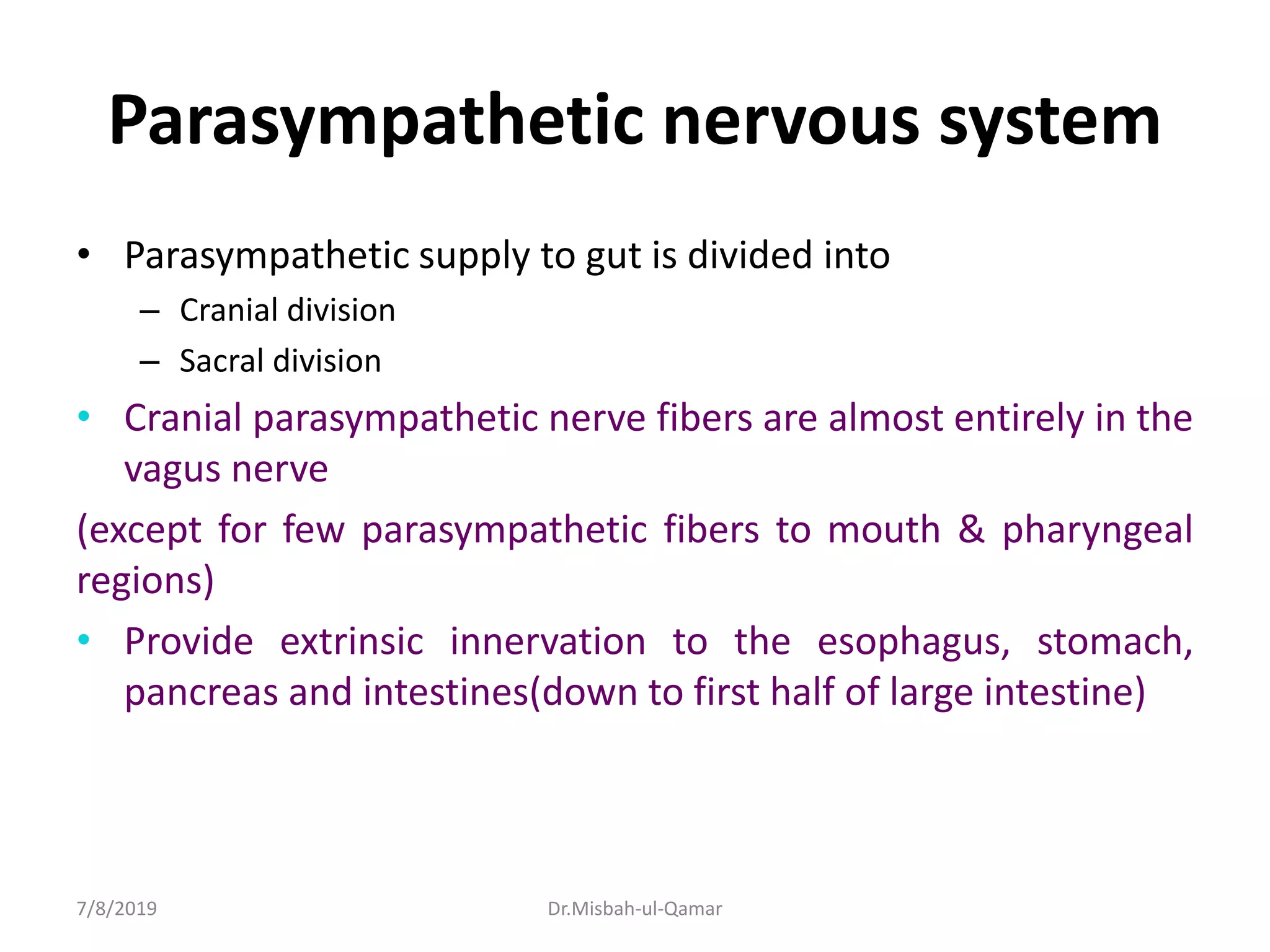Parasympathetic nervous system
• Parasympathetic supply to gut is divided into
– Cranial division
– Sacral division
• Cranial parasympathetic nerve fibers are almost entirely in the
vagus nerve
(except for few parasympathetic fibers to mouth & pharyngeal
regions)
• Provide extrinsic innervation to the esophagus, stomach,
pancreas and intestines(down to first half of large intestine)
7/8/2019 Dr.Misbah-ul-Qamar
 