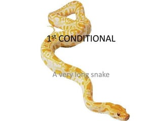 1st CONDITIONAL


 A very long snake
 