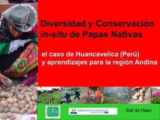 Diversidad y Conservación
in-situ de Papas Nativas
el caso de Huancavelica (Perú)
y aprendizajes para la región Andina
Stef de Haan
 