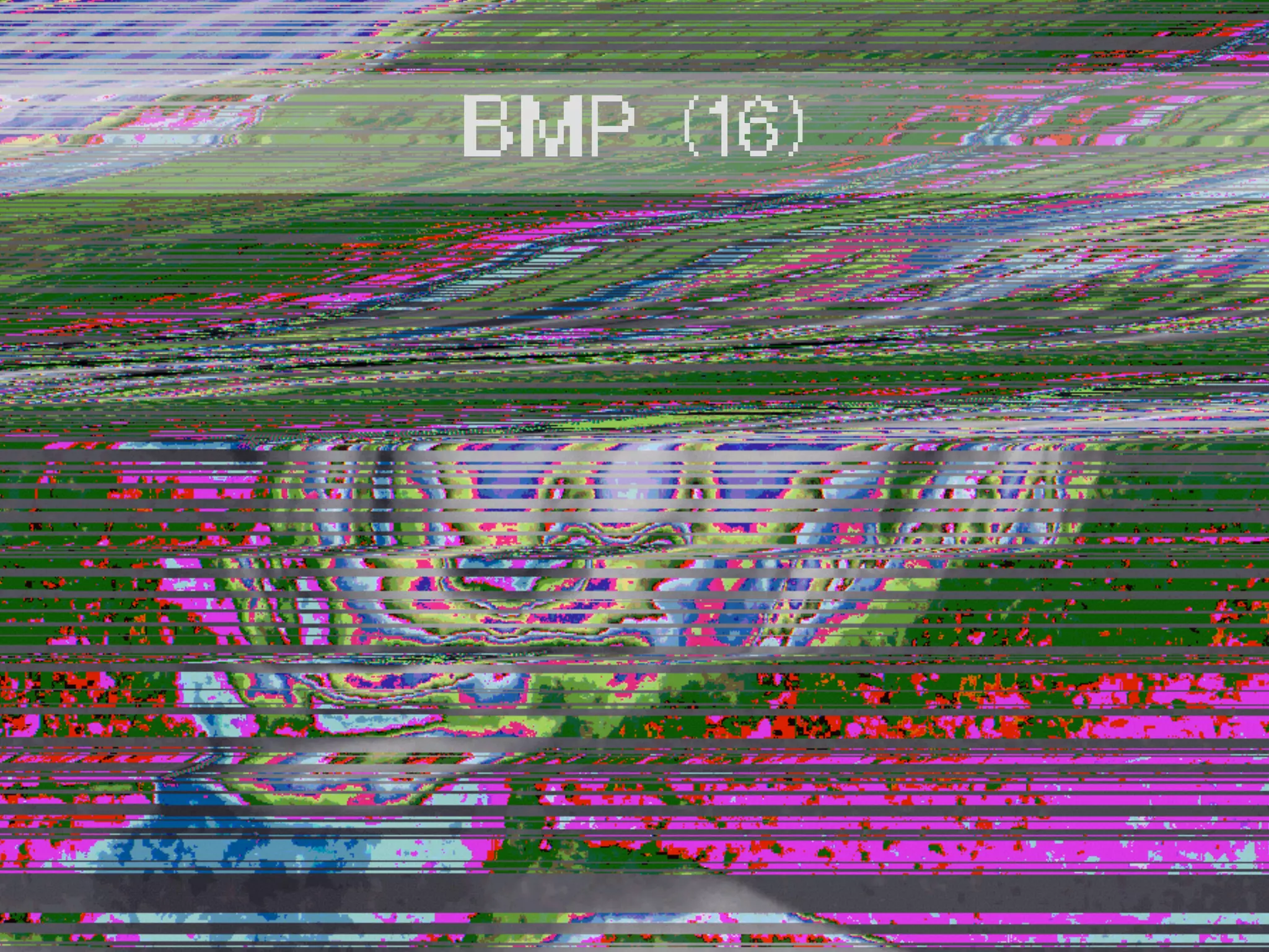 BMP (16)
 