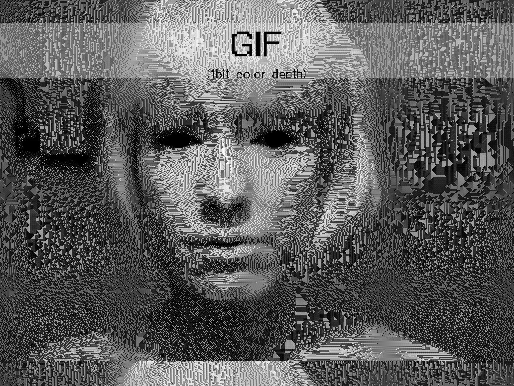 GIF
(1bit color depth)
 