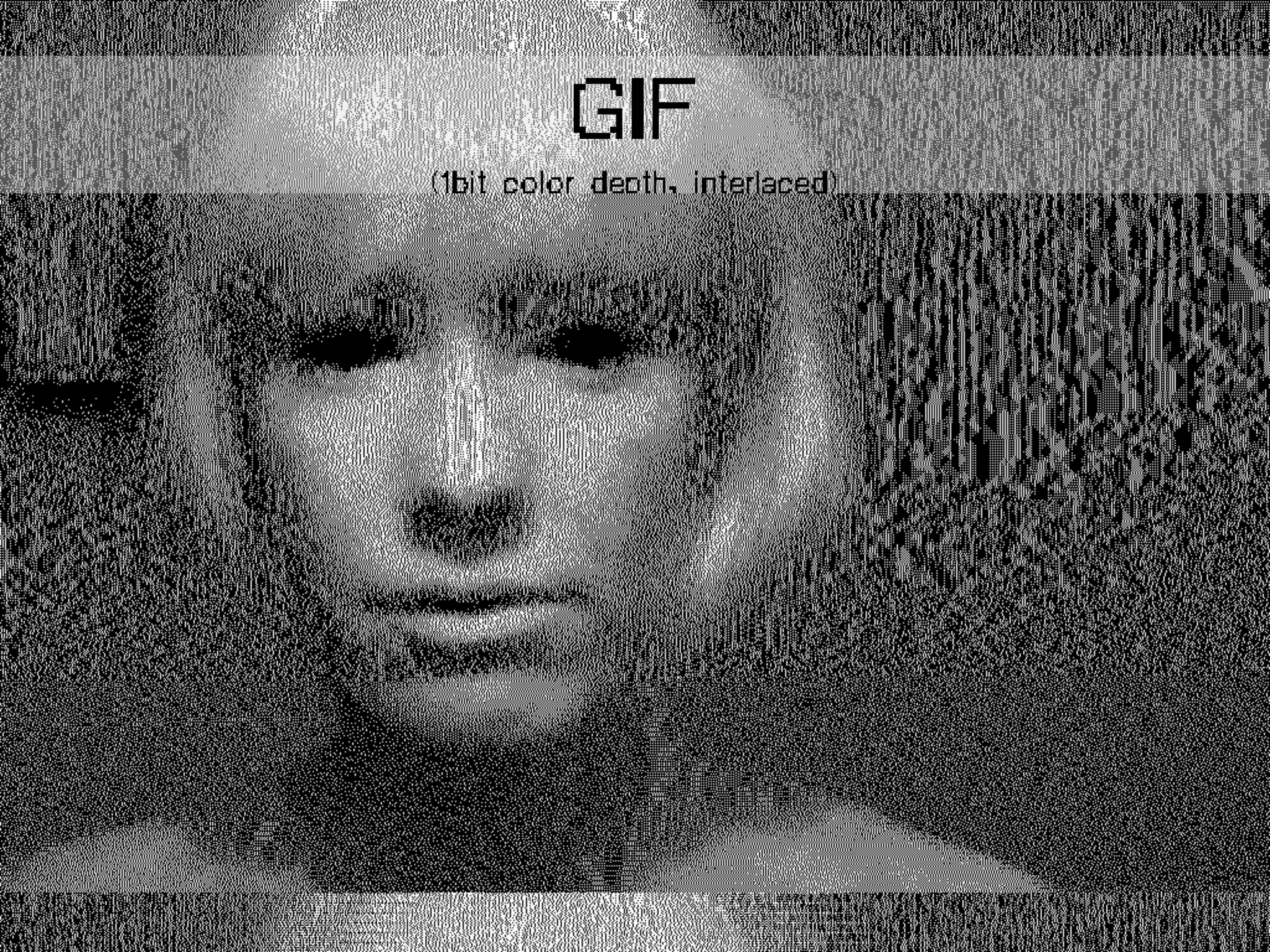 GIF
(1bit color depth, interlaced)
 