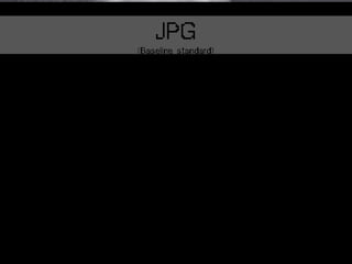 JPG
(baseline optimized)
 