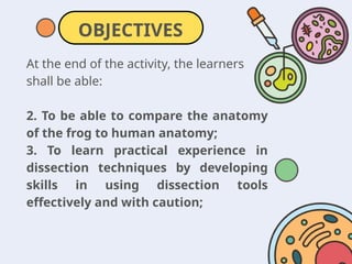 Frog Dissection Practical 1_STEM 007-FROG DISSECTION PPT 2026.pptx