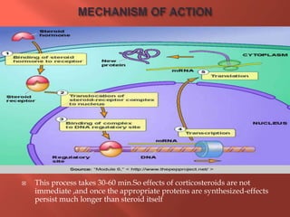  This process takes 30-60 min.So effects of corticosteroids are not
immediate ,and once the appropriate proteins are synthesized-effects
persist much longer than steroid itself
 