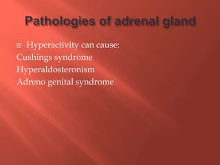  Hyperactivity can cause:
Cushings syndrome
Hyperaldosteronism
Adreno genital syndrome
 
