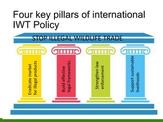 Four key pillars of international
IWT PolicyEradicatemarket
forillegalproducts
Buildeffective
legalframeworks
Strengthenla...