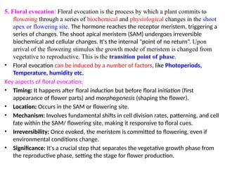 1st Flowering physhdhsiology 2025.pptx