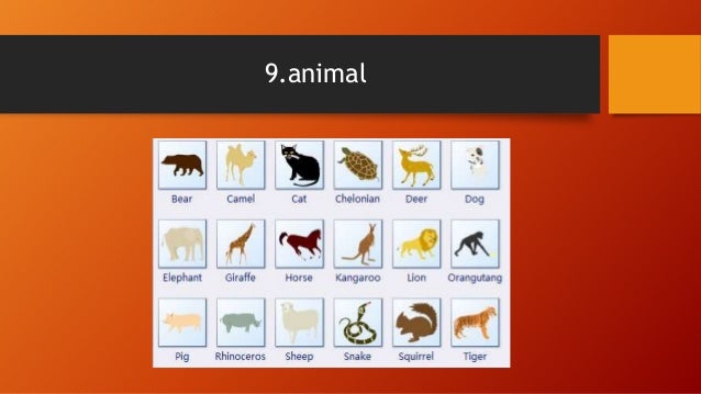 1st grade 1 15 Spelling Bee Words