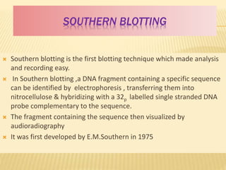 SOUTHERN BLOTTING
 Southern blotting is the first blotting technique which made analysis
and recording easy.
 In Southern blotting ,a DNA fragment containing a specific sequence
can be identified by electrophoresis , transferring them into
nitrocellulose & hybridizing with a 32p labelled single stranded DNA
probe complementary to the sequence.
 The fragment containing the sequence then visualized by
audioradiography
 It was first developed by E.M.Southern in 1975
 