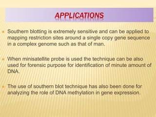 APPLICATIONS
 Southern blotting is extremely sensitive and can be applied to
mapping restriction sites around a single copy gene sequence
in a complex genome such as that of man.
 When minisatellite probe is used the technique can be also
used for forensic purpose for identification of minute amount of
DNA.
 The use of southern blot technique has also been done for
analyzing the role of DNA methylation in gene expression.
 