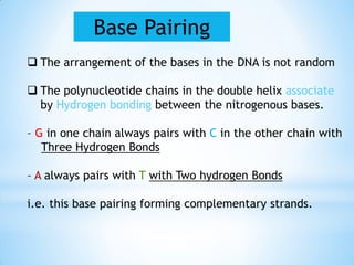 Base Pairing
 The arrangement of the bases in the DNA is not random
 The polynucleotide chains in the double helix associate
by Hydrogen bonding between the nitrogenous bases.
– G in one chain always pairs with C in the other chain with
Three Hydrogen Bonds
– A always pairs with T with Two hydrogen Bonds
i.e. this base pairing forming complementary strands.
 