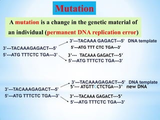 A mutation is a change in the genetic material of
an individual (permanent DNA replication error)
3’---TACAAAGAGACT---5’
5’---ATG TTTCTC TGA---3’
3’---TACAAA GAGACT---5’ DNA template
5’---ATG TTTCTC TGA---3’
3’--- TACAAA GAGACT---5’
3’---TACAAAGAGACT---5’
5’---ATG TTTCTC TGA---3’
3’---TACAAAGAGACT---5’ DNA template
5’---ATG TTTCTC TGA---3’
5’--- ATGTTCCTCTGA---3’ new DNA
3’---TACAAA GAGACT---5’
5’---ATG TTT CTC TGA---3’
Mutation
 