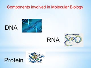 Components involved in Molecular Biology
DNA
RNA
Protein
 