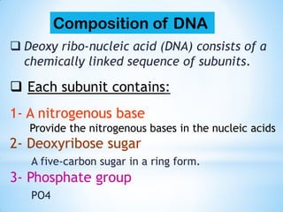  Deoxy ribo-nucleic acid (DNA) consists of a
chemically linked sequence of subunits.
 Each subunit contains:
1- A nitrogenous base
Provide the nitrogenous bases in the nucleic acids
2- Deoxyribose sugar
A five-carbon sugar in a ring form.
3- Phosphate group
PO4
Composition of DNA
 